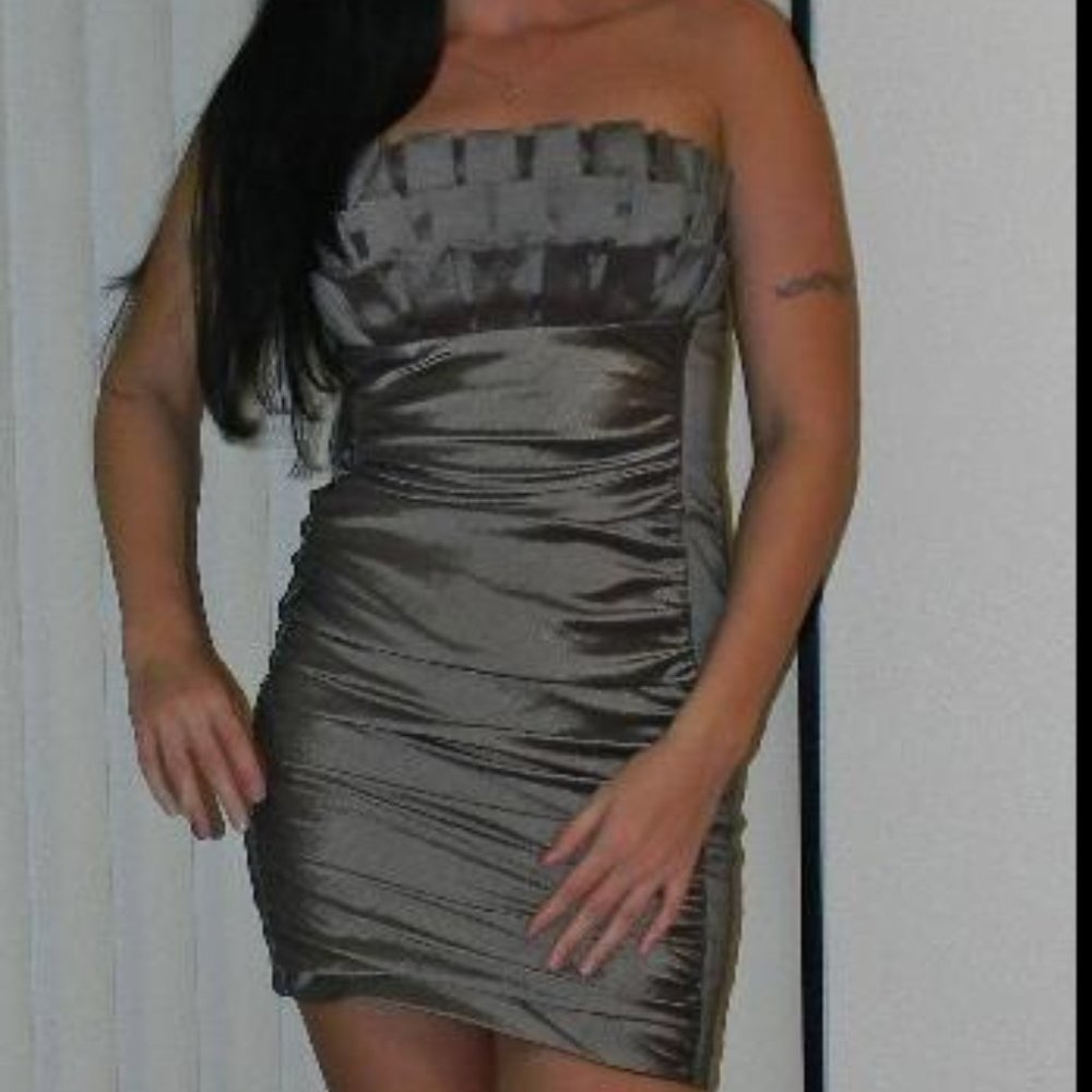 Cache Women Grey Metallic Silver Sleeveless Dress